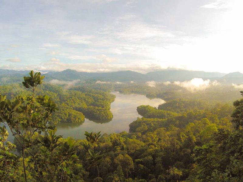 抽象表现主义<br>btozrgo.cn 波洛克滴画